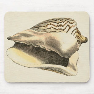 Tapis De Souris Coque vintage Sepia Conch