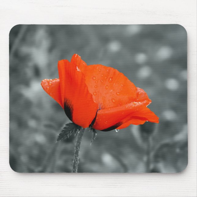 Tapis de souris coquelicot à clé de couleur (Devant)