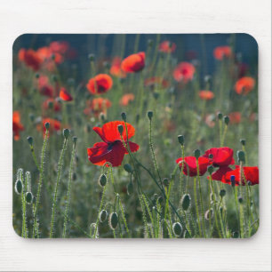 Tapis De Souris Coquelicots dans un champ