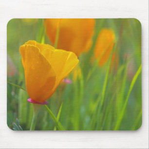Tapis De Souris coquelicots dorés de Californie dans un champ vert