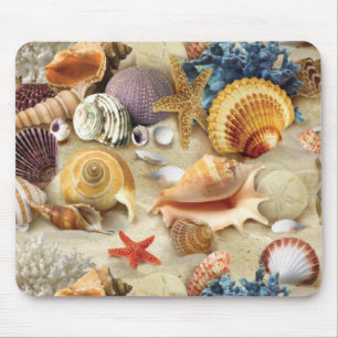 Tapis De Souris Coques de mer sur la plage