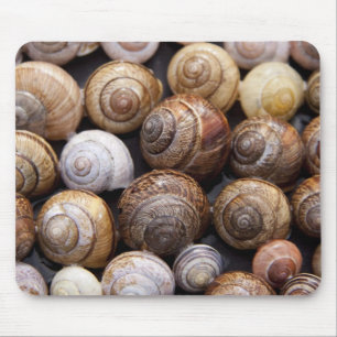 Tapis De Souris Coques des escargots