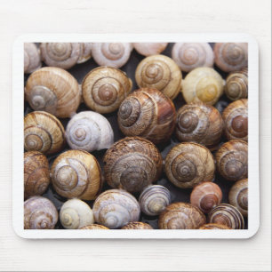 Tapis De Souris Coques des escargots
