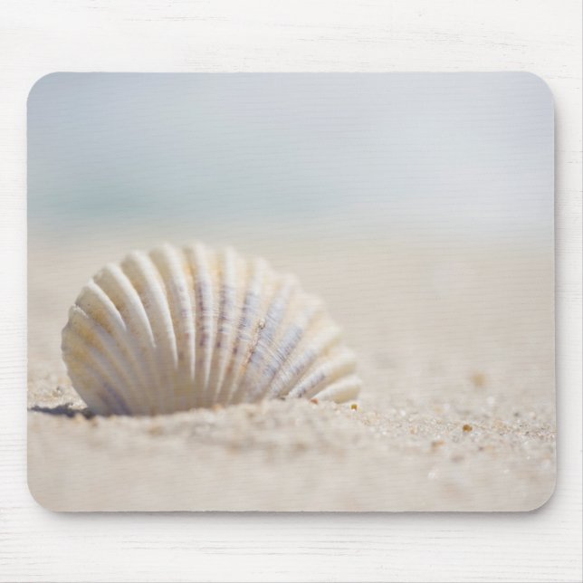 Tapis De Souris Coquillage de mollusque (Devant)