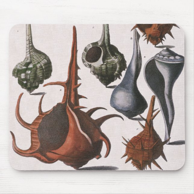 Tapis De Souris Coquillages vintages, Coquillages océaniques Marin (Devant)