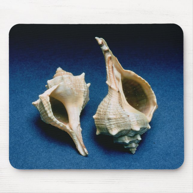 Tapis De Souris Coquille de Murex (Devant)