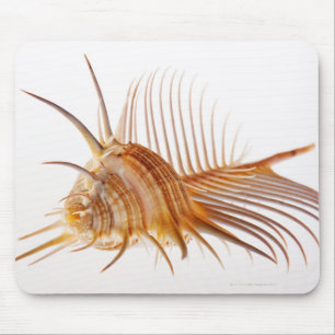Tapis De Souris Coquille de Murex de peigne de Vénus (pectine de