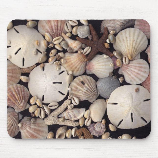 Tapis De Souris Coquilles (Devant)