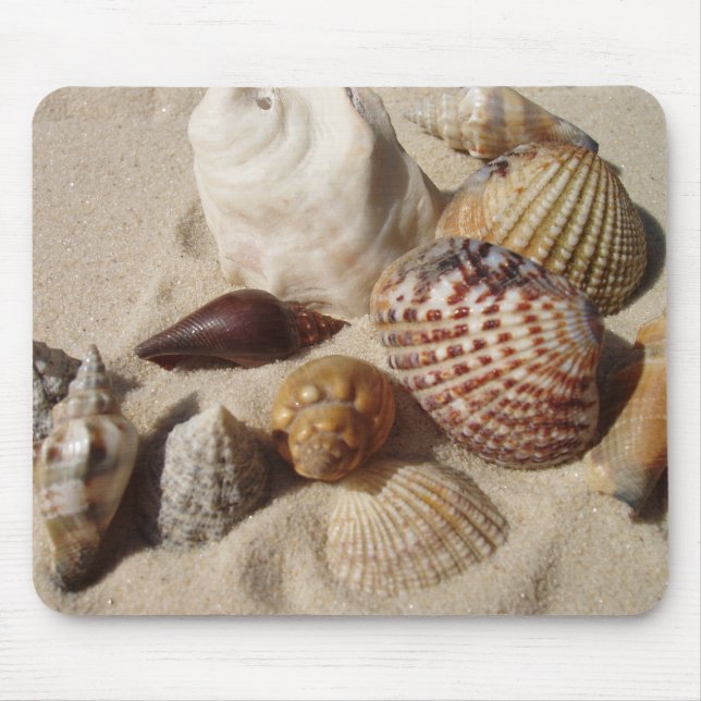 Tapis De Souris Coquilles de mer, coquilles de mer (Devant)