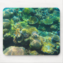 Corail de la Grande Barrière de Corail - #2