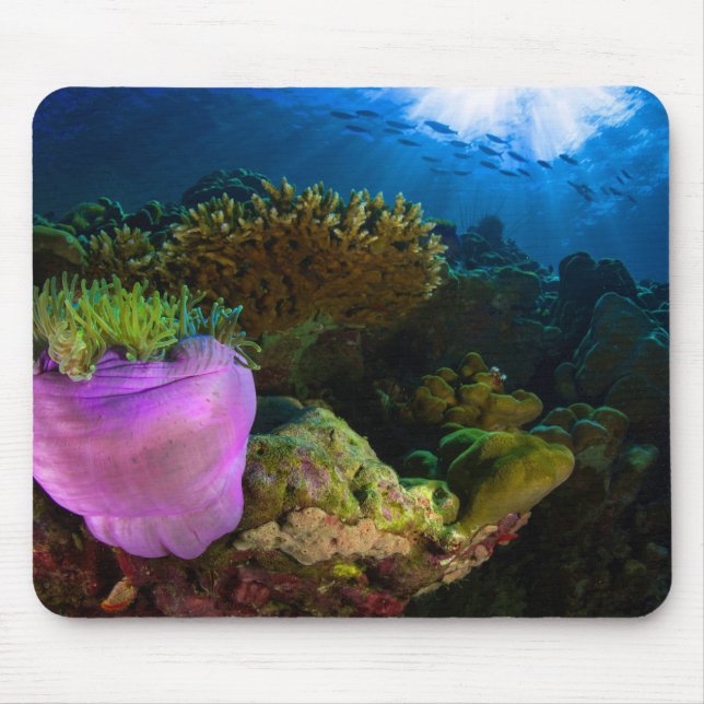 Tapis De Souris Corail de mer tropicale (Devant)