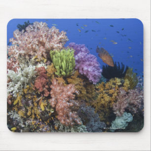 Tapis De Souris Corail reef, vue sous-marine