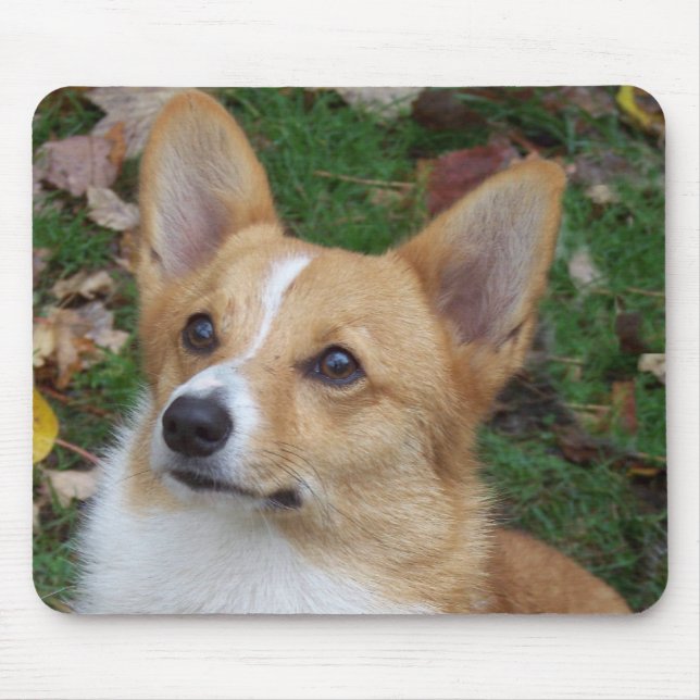 Tapis De Souris Corgi beau (Devant)