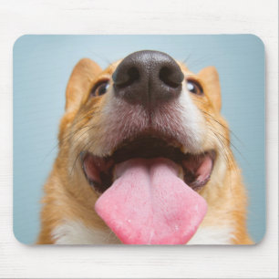 Tapis De Souris Corgi très heureux des images de Getty