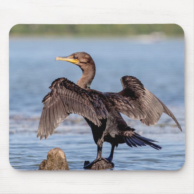Tapis De Souris Cormorant à aigrettes sur le lac Champlain (Devant)