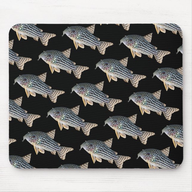 Tapis De Souris Corydoras sterbai , No.04 (Devant)