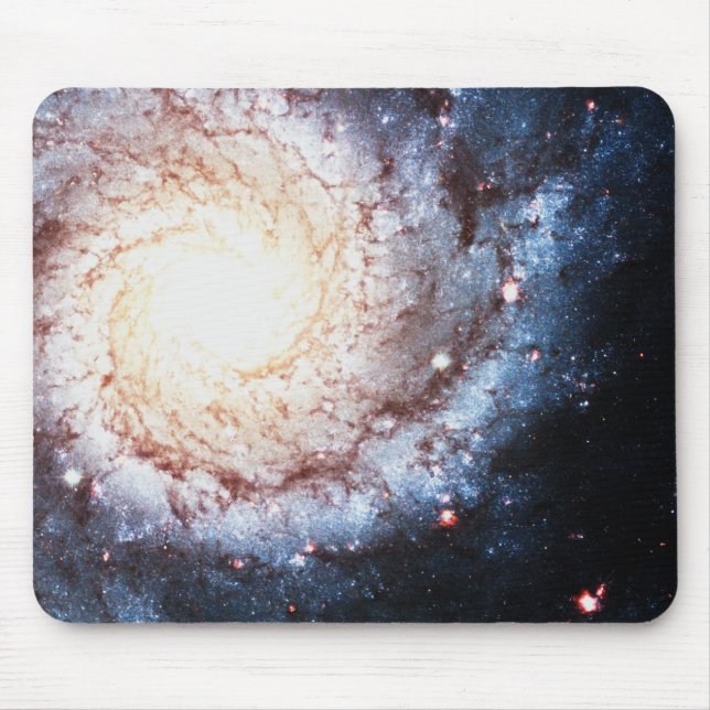 Tapis De Souris Cosmos colorés (Devant)