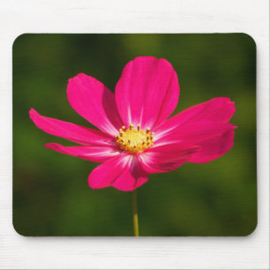 Tapis De Souris Cosmos roses