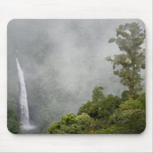 Tapis De Souris Costa Rica, forêt nuageuse dans les montagnes près