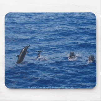 Tapis De Souris Côte du nord-ouest de ~ de dauphins de Lanai