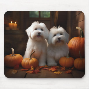 Tapis De Souris Coton De Tulear Chiot Automne Citrouille délice