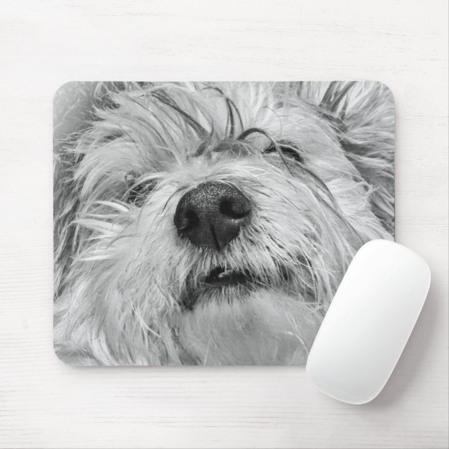 Tapis De Souris Coton de Tulear dog (Avec souris)