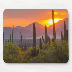 Tapis De Souris Coucher de soleil de cactus du désert, Arizona