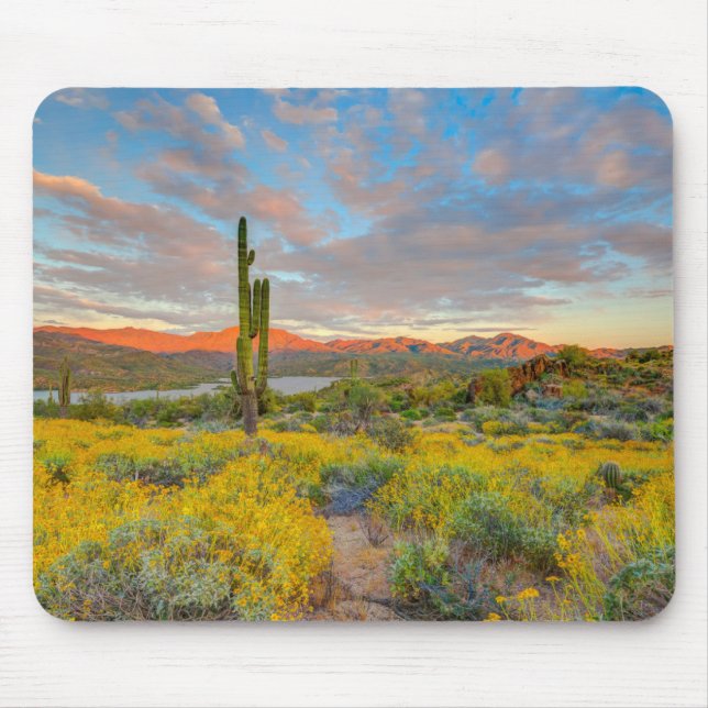 Tapis De Souris Coucher de soleil sur paysage désertique (Devant)