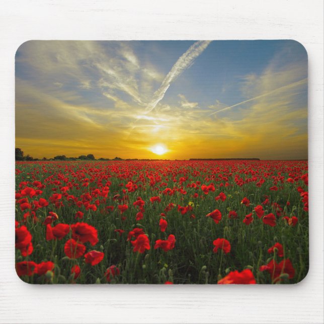 Tapis De Souris Coucher de soleil sur Poppyfield - HAMbyWhiteGlove (Devant)