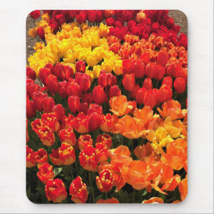 Tapis De Souris Coucher de soleil Tulip Garden Lit, Oregon