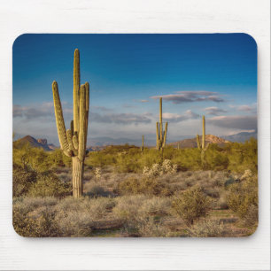 Tapis De Souris Coucher du soleil de cactus en Arizona