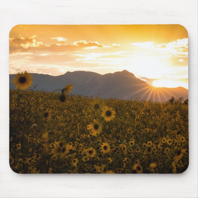 Tapis De Souris Coucher du soleil de tournesol (Devant)