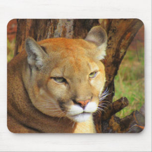 Tapis De Souris Cougar / Florida Panther - Souris