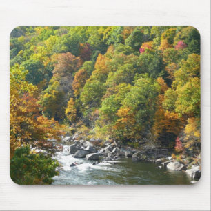 Tapis De Souris Couleur d'automne dans le parc d'état d'Ohiopyle