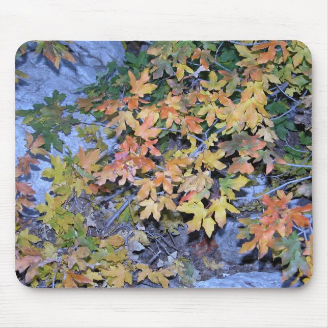 Tapis De Souris Couleurs 1 de chute (Devant)