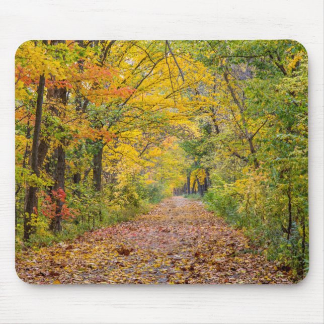 Tapis De Souris Couleurs d'automne au Independence State Park (Devant)