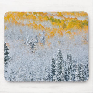 Tapis De Souris Couleurs d'automne des trembles Montagnes Rocheu