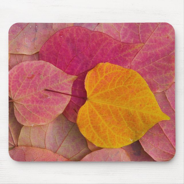 Tapis De Souris Couleurs d'automne sur feuilles tombées de Forest  (Devant)