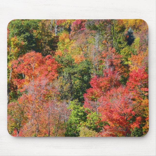 Tapis De Souris Couleurs de l'automne sur une colline en photograp (Devant)