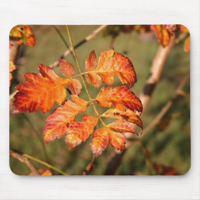 Tapis De Souris Couleurs Mousepad de feuille d'automne (Devant)