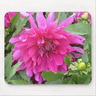 Tapis De Souris "Couleurs vraies de dahlia… "