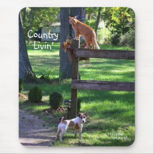 Tapis De Souris Country Livin chat jack russell chien