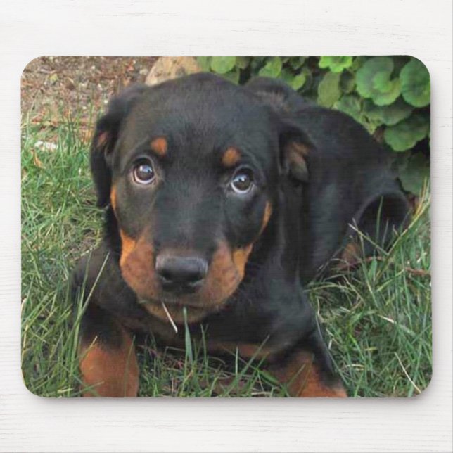 Tapis De Souris Coupable Rottweiler Puppy Mouse Pad (Devant)