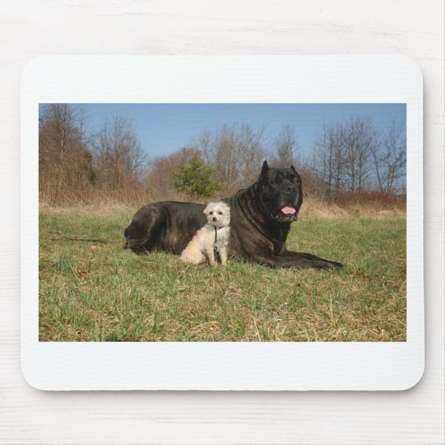 Tapis De Souris Couple de chien mignon (Devant)