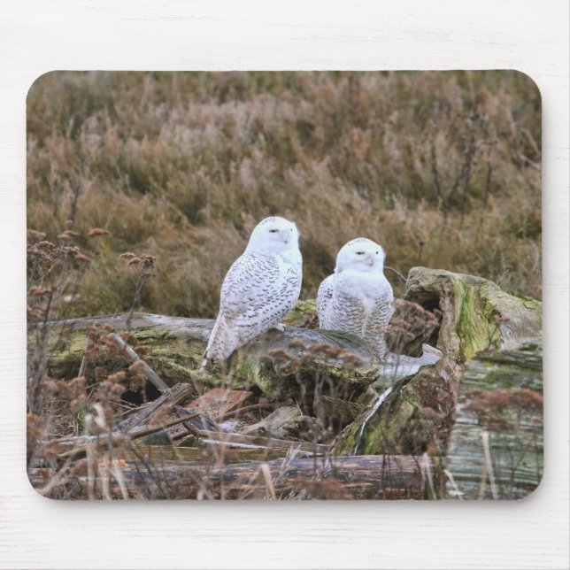 Tapis De Souris Couples de hibou de Milou (Devant)
