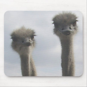 Tapis De Souris Couples Mousepad d'autruche