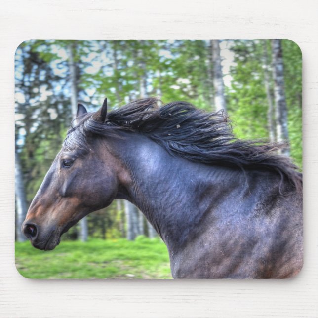 Tapis De Souris Courir Black Thoroughbred Percheron Horse Photo (Devant)