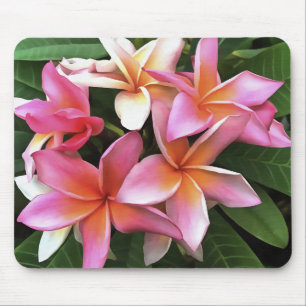 Tapis De Souris Couronne De Fleur De Frangipani Rose Pâle