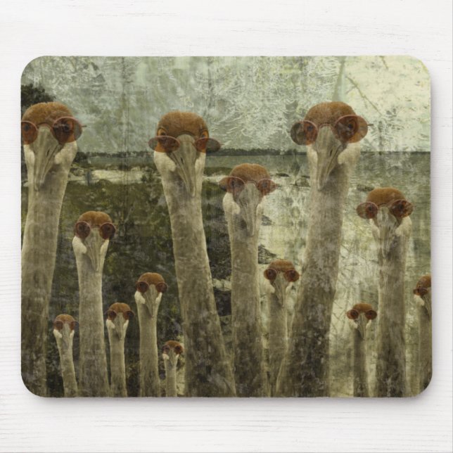 Tapis De Souris Courrier Craneopaclypse (Devant)