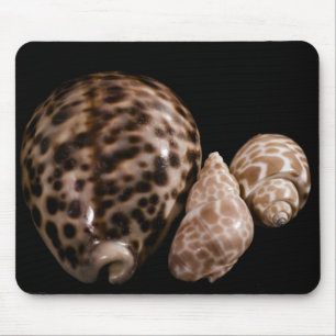 Tapis De Souris Cowrie Cones Mousepad
